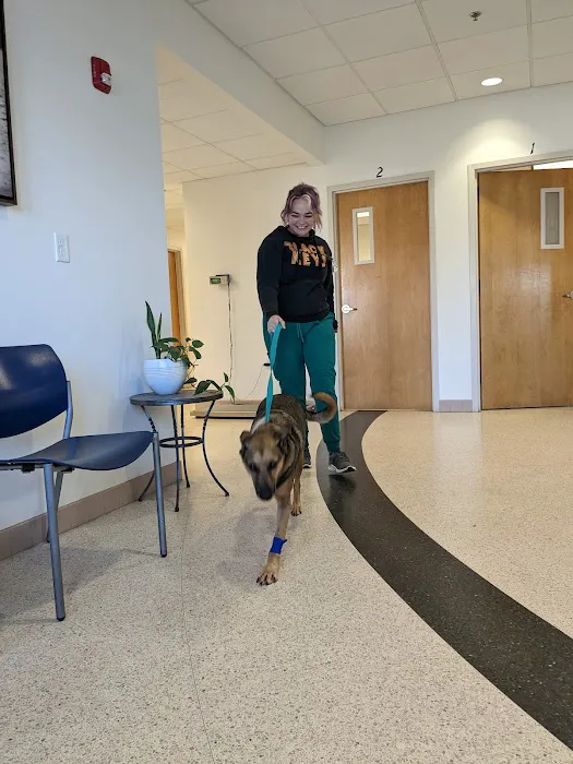 Metropolitan Veterinary Specialists and Emergency Service 6