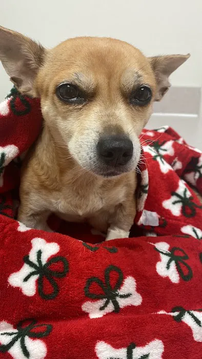 Metropolitan Veterinary Specialists and Emergency Service 8