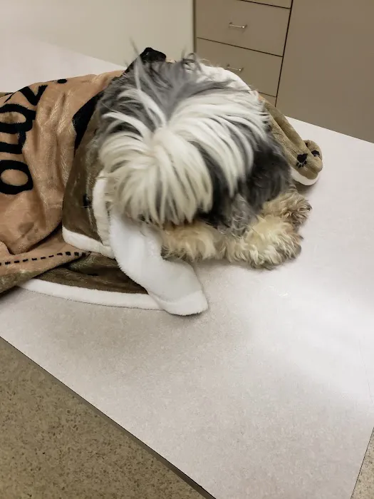 Metropolitan Veterinary Specialists and Emergency Service 7