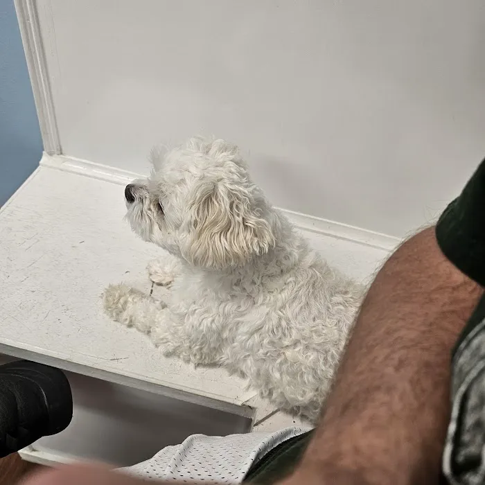 East Bullitt Animal Clinic 1