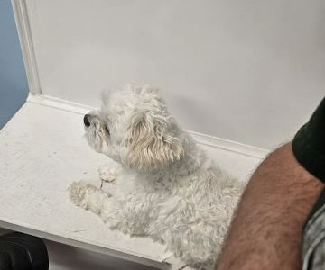 East Bullitt Animal Clinic