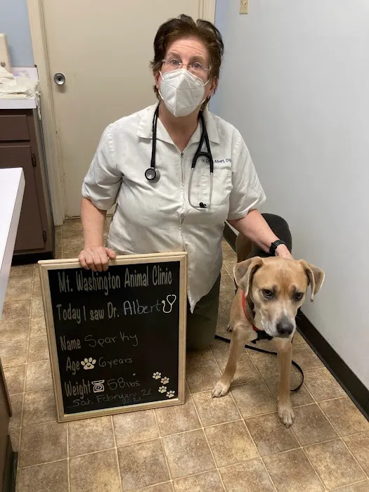 Mt. Washington Animal Clinic 5