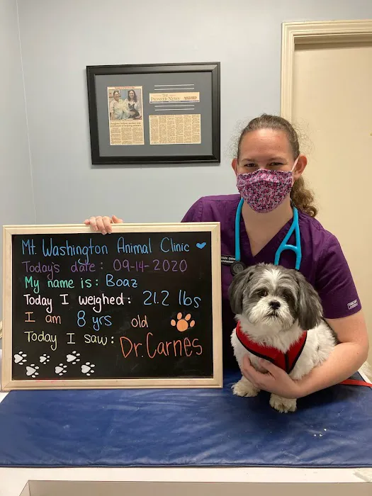 Mt. Washington Animal Clinic 9