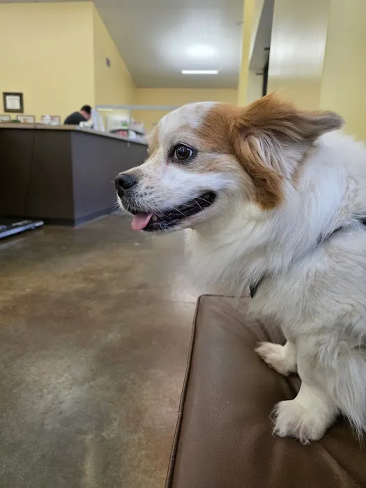 Central Kentucky Veterinary Center 9