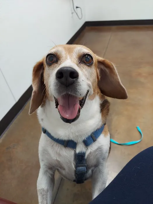 Central Kentucky Veterinary Center 10