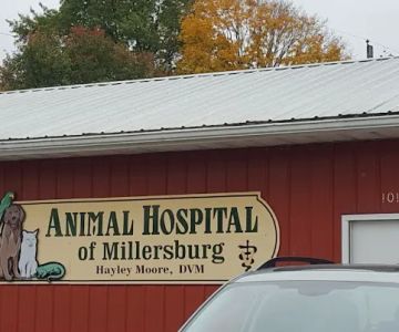 Animal Hospital of Millersburg