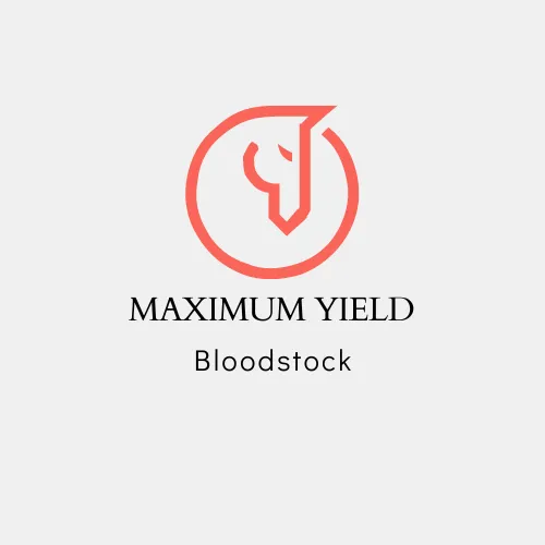 Maximum Yield Bloodstock 2