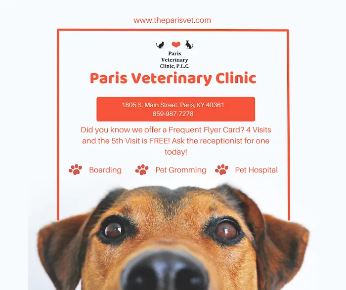 Paris Veterinary Clinic, PLC 2