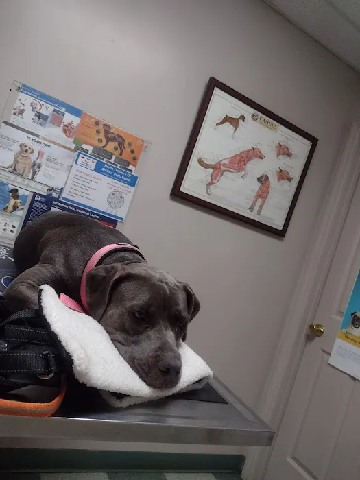 Paris Veterinary Clinic, PLC 5