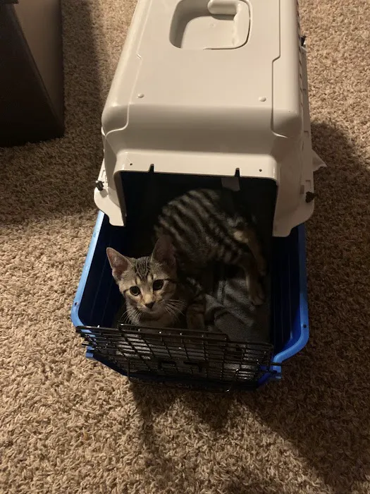 Paris Veterinary Clinic, PLC 8