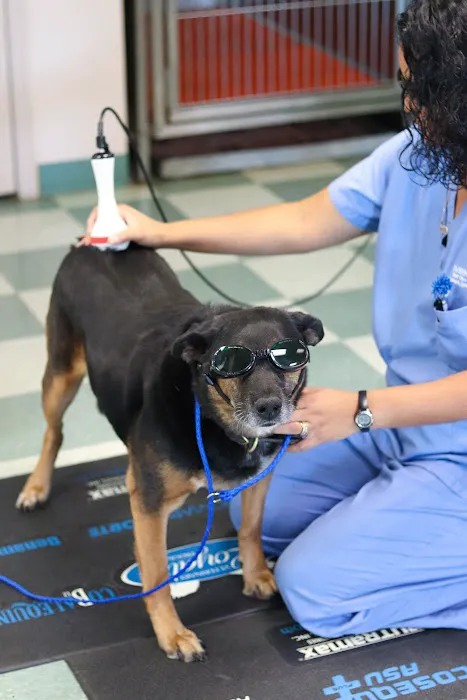 Paris Veterinary Clinic, PLC 7