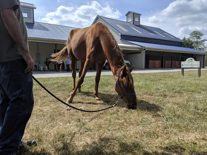 Park Equine Hospital 8