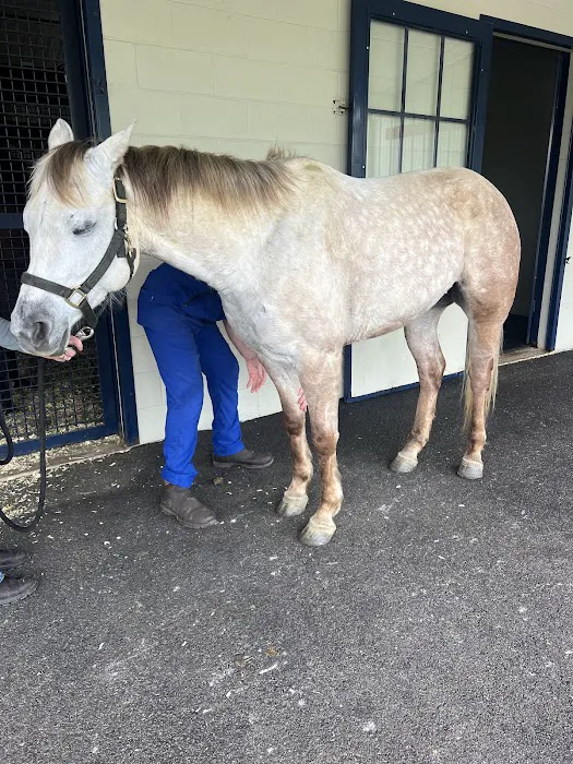 Park Equine Hospital 3