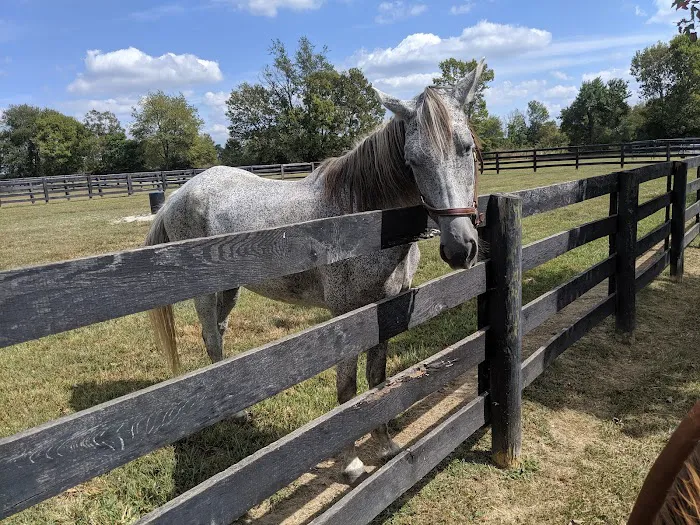 Park Equine Hospital 6