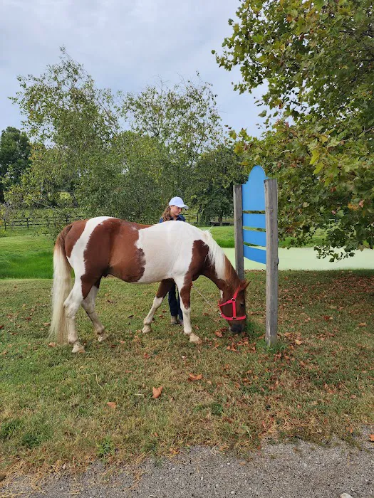 Park Equine Hospital 2