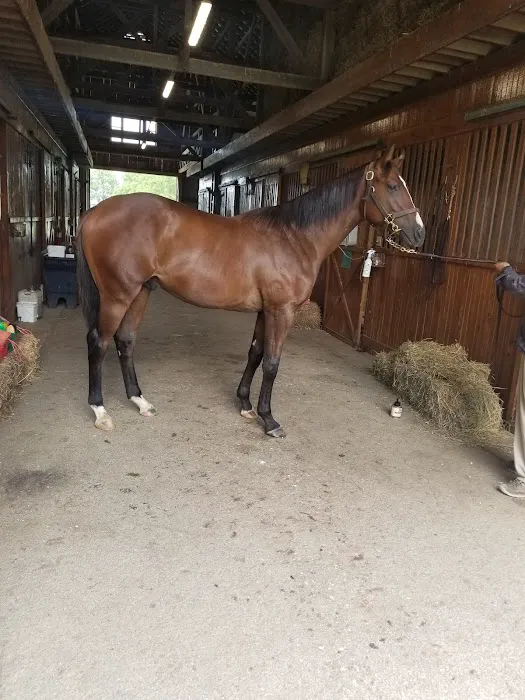 Gunston Hall Farm 8