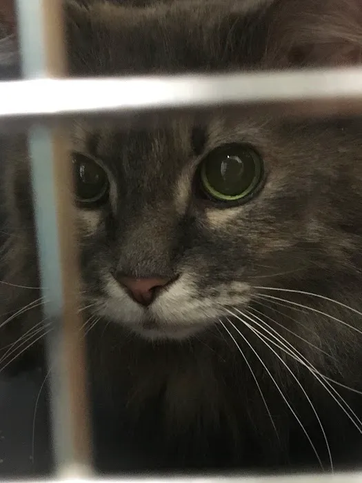 Banfield Pet Hospital 1