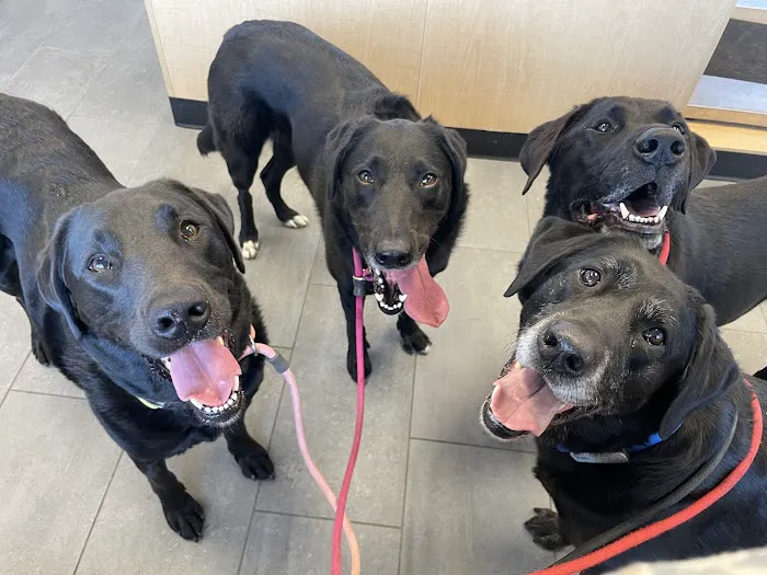 Banfield Pet Hospital 2