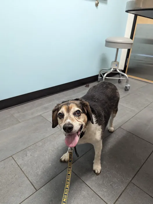 Banfield Pet Hospital 6