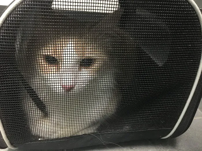 Banfield Pet Hospital 3