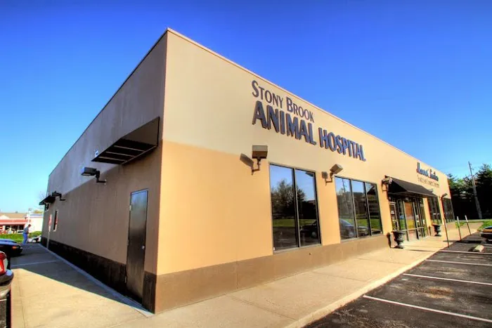 Stony Brook Animal Hospital 2