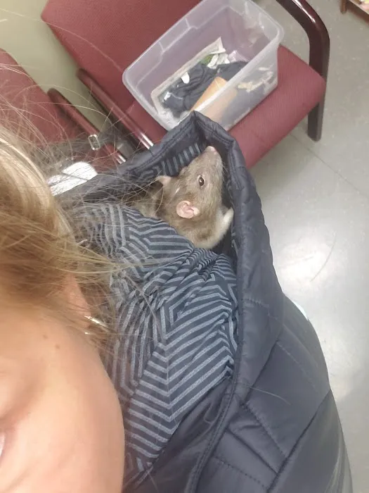 Stony Brook Animal Hospital 6
