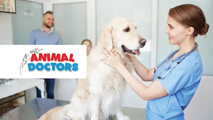 Animal Doctors 10