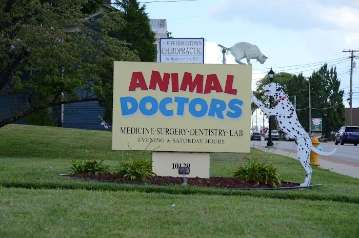 Animal Doctors 5