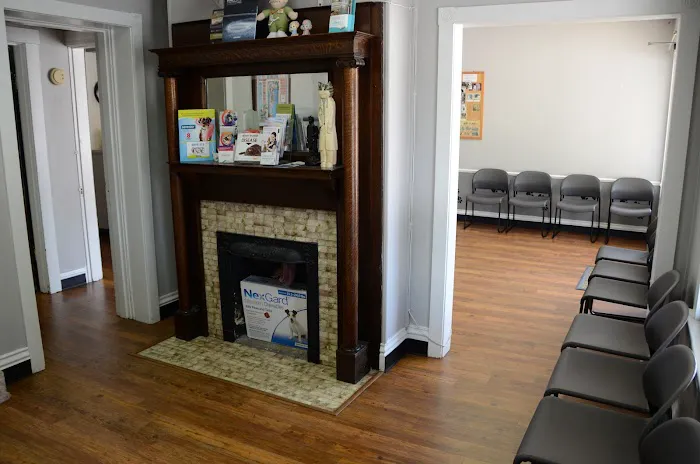 Gaslight Square Animal Hospital 3