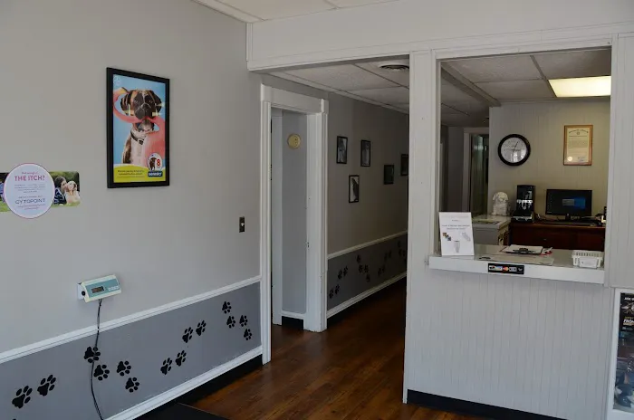 Gaslight Square Animal Hospital 2