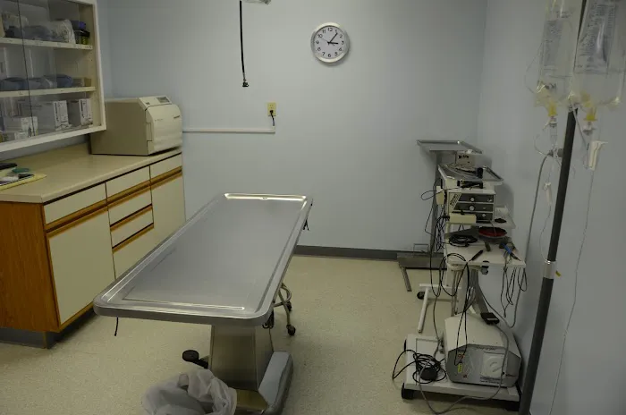 Gaslight Square Animal Hospital 5
