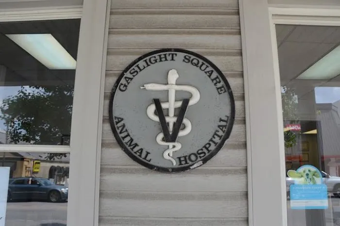 Gaslight Square Animal Hospital 7