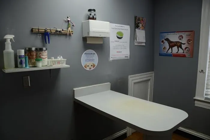 Gaslight Square Animal Hospital 4