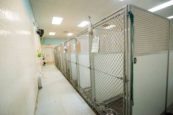 Hurstbourne Animal Hospital 7