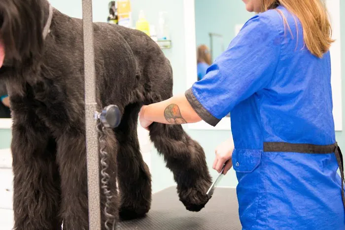 Hurstbourne Animal Hospital 6