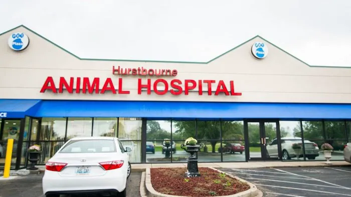 Hurstbourne Animal Hospital 4