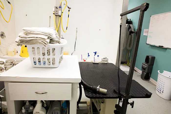 Hurstbourne Animal Hospital 5