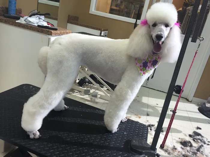 Hurstbourne Animal Hospital 8