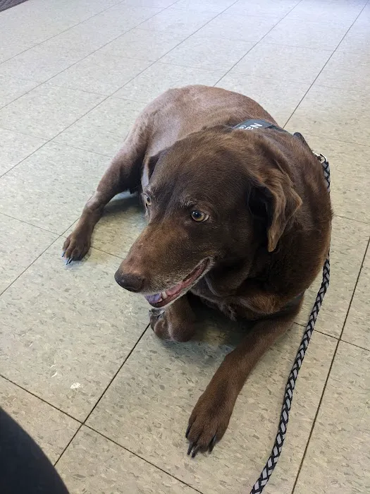Mt. Orab Veterinary Clinc 8