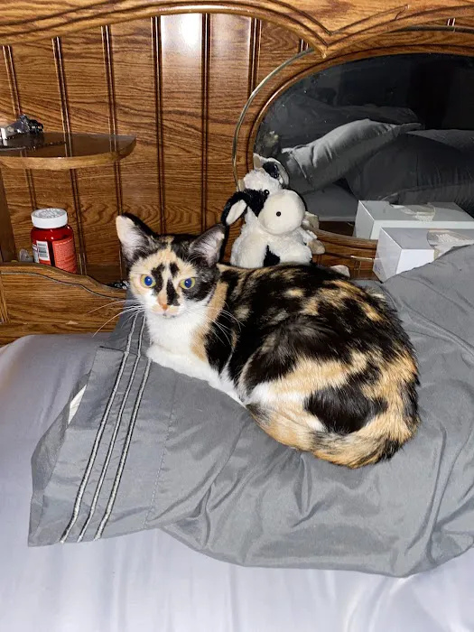 Mt. Orab Veterinary Clinc 4