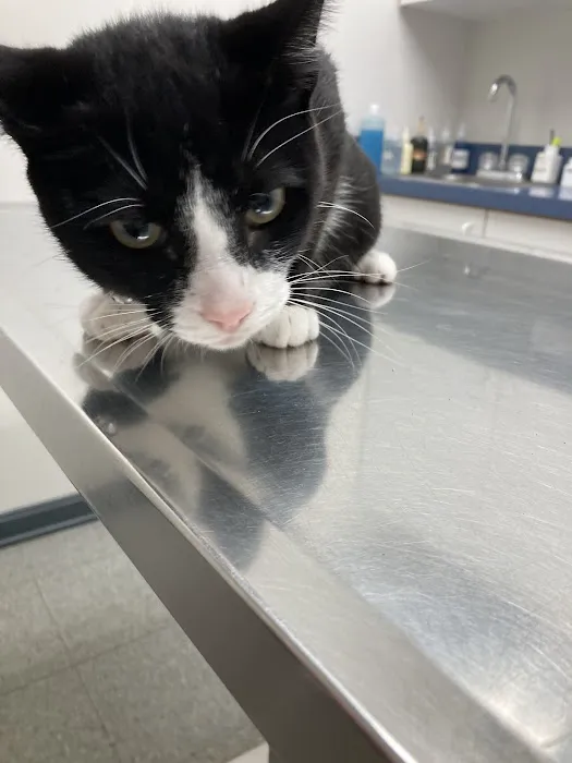 Mt. Orab Veterinary Clinc 9