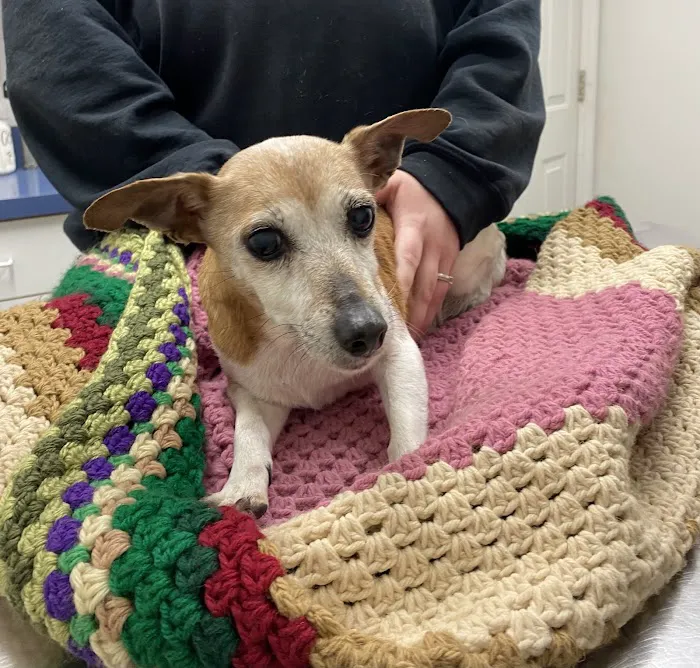 Mt. Orab Veterinary Clinc 10