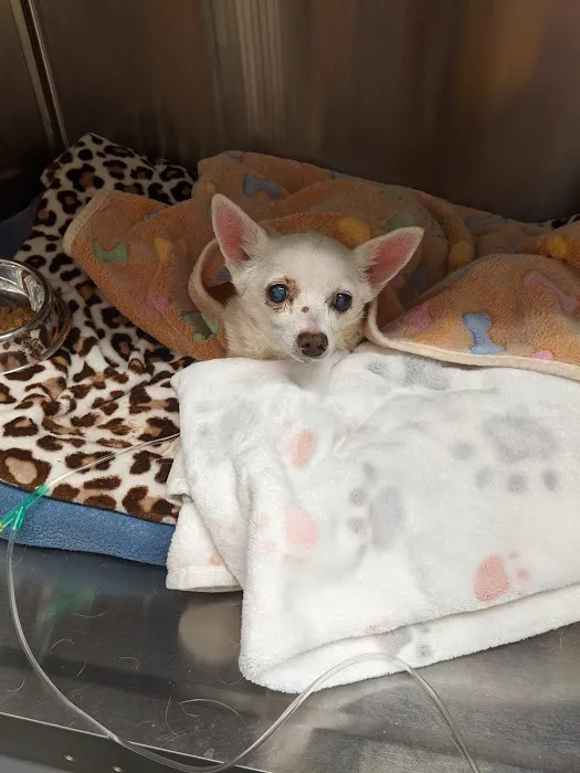 Mt. Orab Veterinary Clinc 5