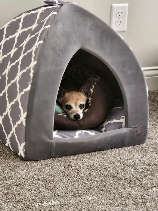 Mt. Orab Veterinary Clinc 3