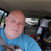 Mt Orab Veterinary Clinic: Hayes Mark DVM ico