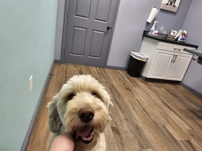 Route 50 Veterinary Care 7