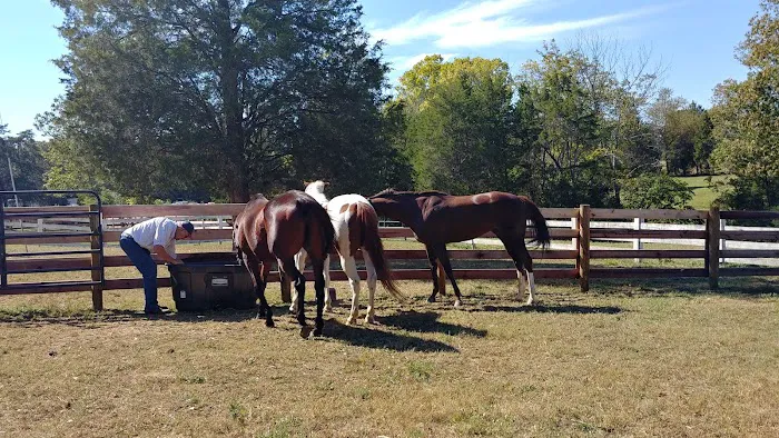 Route 50 Veterinary Care 6