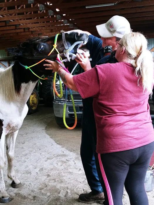 Route 50 Veterinary Care 5