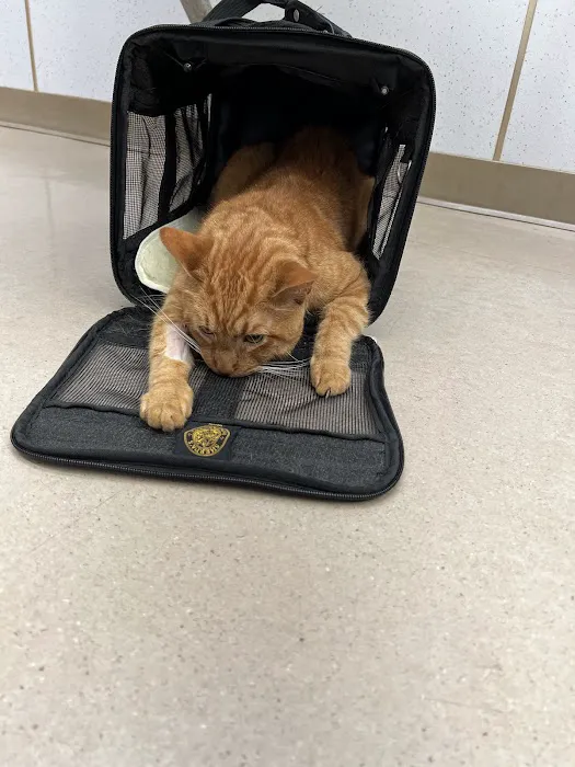 Acre Hill Veterinary Clinic 1