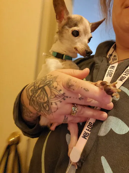 Paxton Veterinary Clinic P C 7